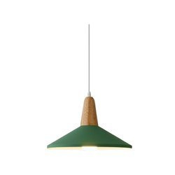 LÁMPARA DE TECHO 21335A VERDE