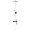 CONJUNTO DE DUCHA EXTERIOR CON TERMOSTATO S-1164BG NEGRO/DORADO